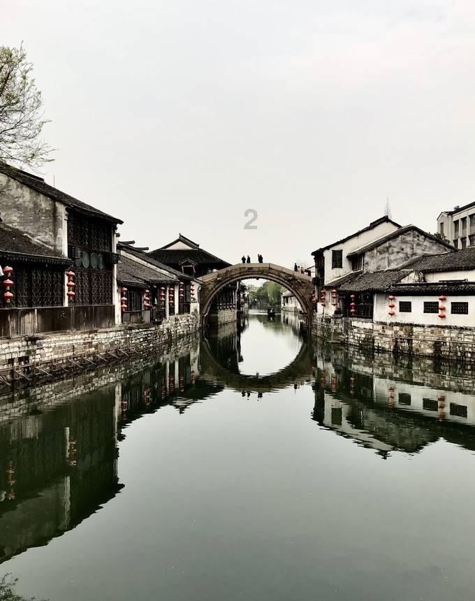 玄凤鹦鹉的毛被虫子咬了还能长吗？游戏画面