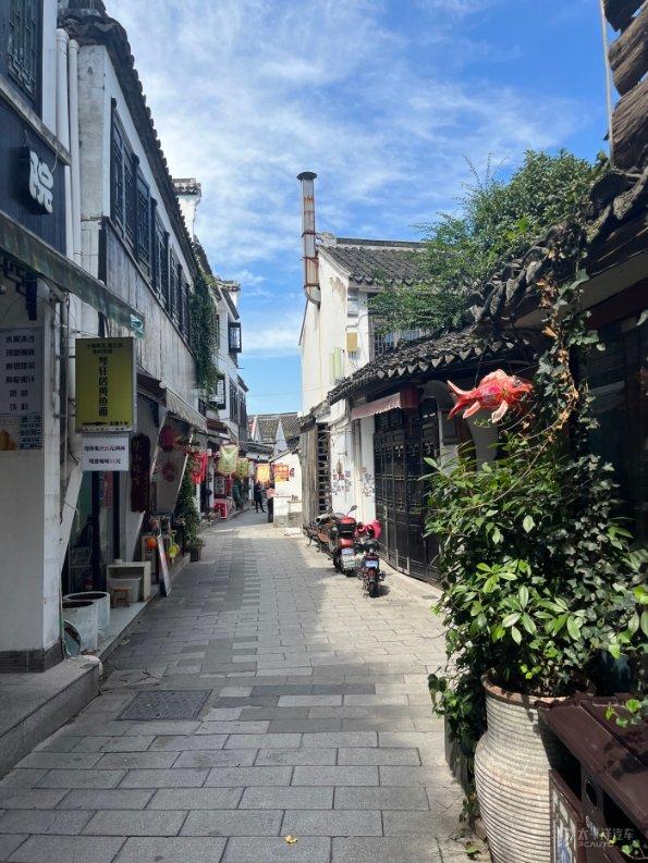 夏日时尚的爱丽